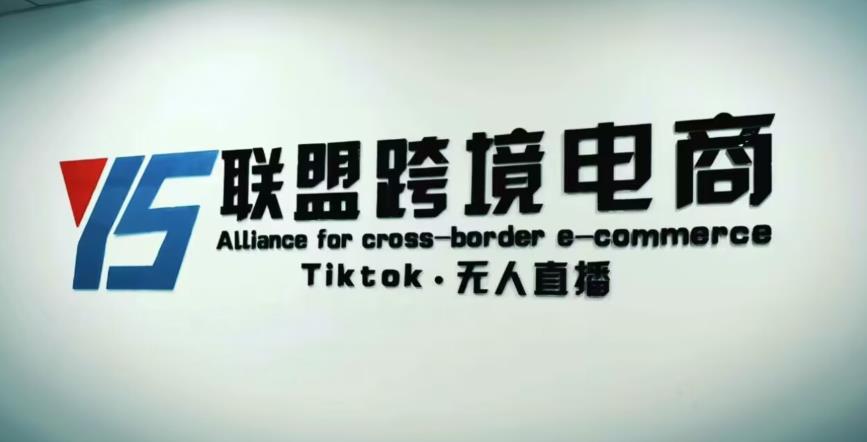 YS联盟·Tiktok无人直播，不出镜不剪辑不拍摄不发货无售后的跨境短视频躺赚玩法-520资源库
