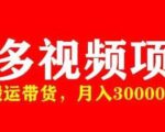 多多带货视频快速50爆款拿带货资格,搬运带货,月入30000【全套脚本+详细玩法】-520资源库
