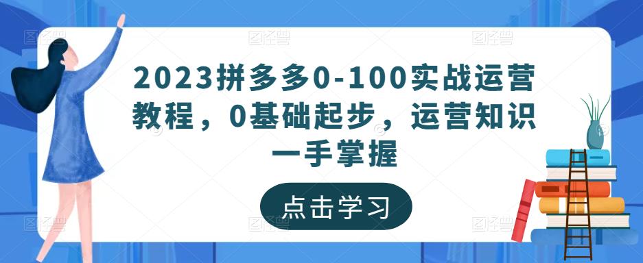 2023拼多多0-100实战运营教程,0基础起步,运营知识一手掌握-520资源库