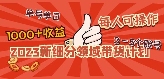 2023新细分领域带货计划:单号单日1000+收益不难,每人可操作3-5个账号-520资源库