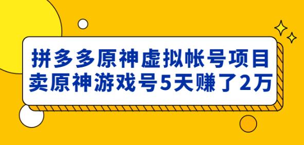 外面卖2980的拼多多原神虚拟帐号项目:卖原神游戏号5天赚了2万-520资源库
