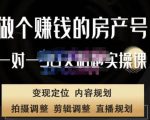 刘广标·同城房产号线上陪跑课,拍摄、剪辑、写文案、直播,做一个具有潜力价值的房产号-520资源库