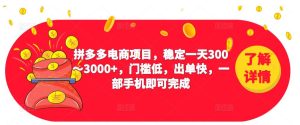 2023拼多多电商项目，稳定一天300～3000+，门槛低，出单快，一部手机即可完成-520资源库