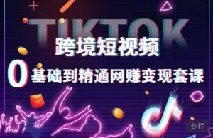 跨境短视频TIKTOK 0基础到精通网赚变现套课，跨境短视频独立站带货变现技巧-520资源库