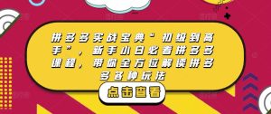 拼多多实战宝典“初级到高手”，新手小白必看拼多多课程，带你全方位解读拼多多各种玩法-520资源库