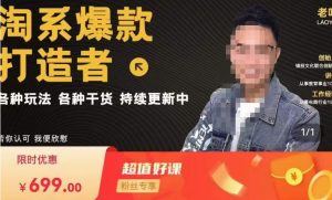 锋投老叶全店动销，淘系干货汇总，各种玩法，淘系爆款打造者-520资源库