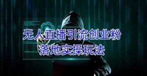 外面收费3980的无人直播引流创业粉落地实操玩法，单日引100+精准创业粉-520资源库