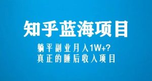 知乎蓝海玩法，躺平副业月入1W+，真正的睡后收入项目（6节视频课）-520资源库