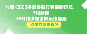 大炮·2023拼多多强付费最新玩法，3月新课​78分钟详细讲解玩法流程-520资源库