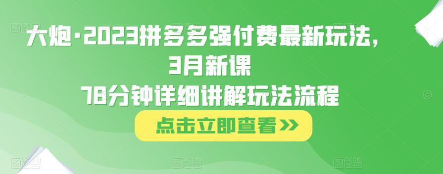 大炮·2023拼多多强付费最新玩法，3月新课​78分钟详细讲解玩法流程-520资源库