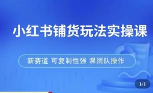 小红书铺货玩法实操课，流量大，竞争小，非常好做，新赛道，可复制性强，可团队操作-520资源库