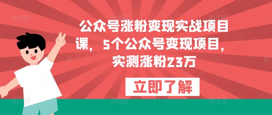 公众号涨粉变现实战项目课，5个公众号变现项目，实测涨粉23万-520资源库