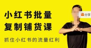 张宾·小红书批量复制铺货课，小红书0-1快速起号变现玩法，抓住小红书的流量红利（更新2023年3月）-520资源库