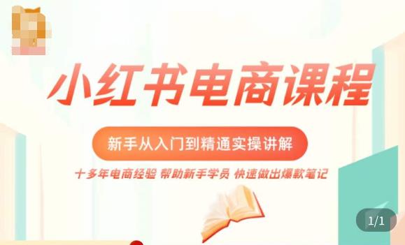 小红书电商新手入门到精通实操课,从入门到精通做爆款笔记,开店运营-520资源库