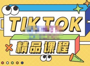 电商孵化中心·TikTok精品课程，教你玩转海外抖音，低成本创业，带您从0开始玩转TikTok-520资源库