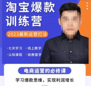 爱上黄昏·淘宝爆款训练营，2023最新运营打法，学习爆款思维，实现利润增长-520资源库