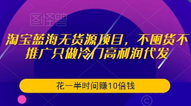 淘宝蓝海无货源项目，不囤货不推广只做冷门高利润代发，花一半时间赚10倍钱-520资源库