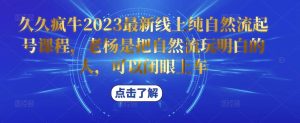 久久疯牛2023最新线上纯自然流起号课程，老杨是把自然流玩明白的人，可以闭眼上车-520资源库