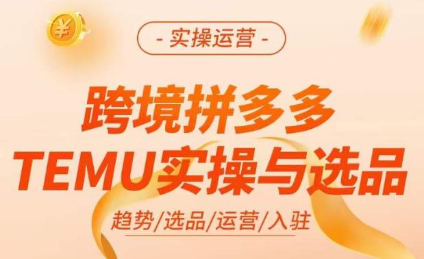 跨境拼多多TEMU实操与选品，​掌握平台运营方法技巧，选品避坑12条标准，爆款的底层思路等-520资源库