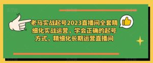 老马实战起号2023直播间全套精细化实战运营，学会正确的起号方式，精细化长期运营直播间-520资源库