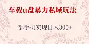 车载u盘暴力私域玩法，长期项目，仅需一部手机实现日入300+-520资源库