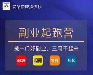 花爷-副业起跑营第2期,挑一门好副业,三周干起来(闲鱼|小红书|量化|套利)-520资源库