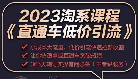 2023直通车低价引流玩法课程,小成本大流量,低价引流快速拉新收割,让你快速掌握直通车突破瓶颈-520资源库