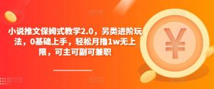 小说推文保姆式教学2.0，另类进阶玩法，0基础上手，轻松月撸1w无上限，可主可副可兼职-520资源库