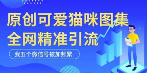 黑科技纯原创可爱猫咪图片，全网精准引流，实操5个VX号被加频繁-520资源库