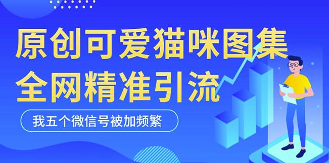黑科技纯原创可爱猫咪图片，全网精准引流，实操5个VX号被加频繁-520资源库