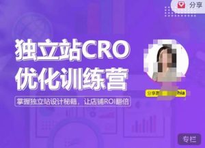 独立站CRO优化训练营,掌握独立站设计秘籍,打造高转化的独立站,让店铺ROI翻倍-520资源库