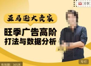 阿甘·亚马逊大卖家广告高阶打法与数据分析，走出传统广告误区；揭秘大卖惯用打法；数据驱动广告决策-520资源库