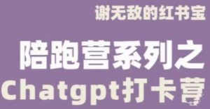 谢无敌ChatGPT打卡营,教你更好地使用ChatGPT来提高工作效率-520资源库