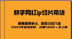 2023爆火的快手网红IP切片，号称日佣5000＋的蓝海项目，二驴的独家授权-520资源库