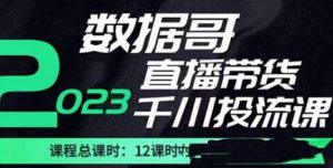 数据哥2023直播电商巨量千川付费投流实操课，快速掌握直播带货运营投放策略-520资源库