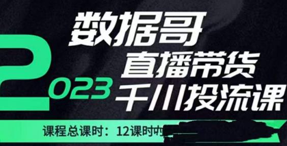 数据哥2023直播电商巨量千川付费投流实操课，快速掌握直播带货运营投放策略-520资源库