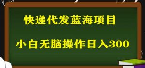 2023最新蓝海快递代发项目，小白零成本照抄也能日入300+-520资源库