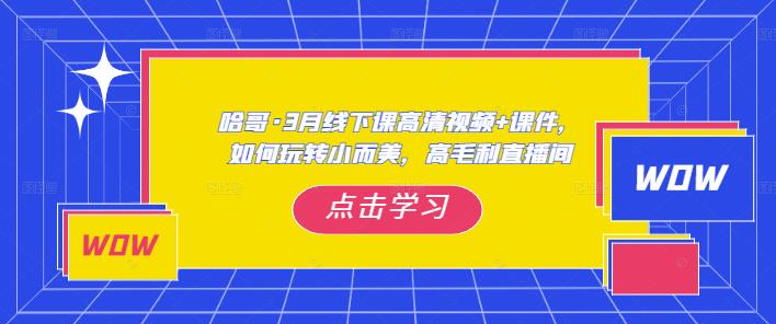 哈哥·3月线下实操课高清视频+课件,如何玩转小而美,高毛利直播间-520资源库