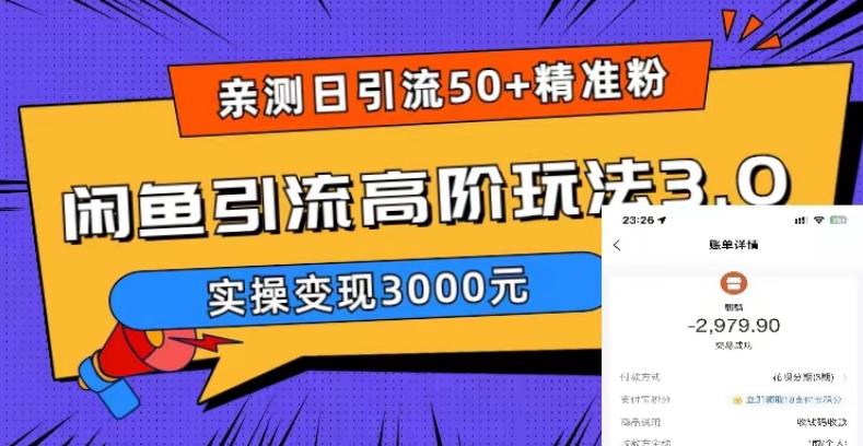 亲测日引50+精准粉，闲鱼引流高阶玩法3.0，实操变现3000元【揭秘】-520资源库
