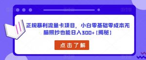 正规暴利流量卡项目，小白零基础零成本无脑照抄也能日入300+【揭秘】-520资源库