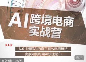白龙老师·AI跨境电商实战营：从0-1精通Al的真正有效电商玩法，卖家如何利用Al快速超车-520资源库