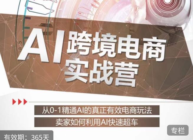 白龙老师·AI跨境电商实战营：从0-1精通Al的真正有效电商玩法，卖家如何利用Al快速超车-520资源库