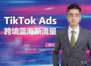 稳哥·如何投出高ROI的TikTok广告，开拓独立站卖家流量新蓝海-520资源库