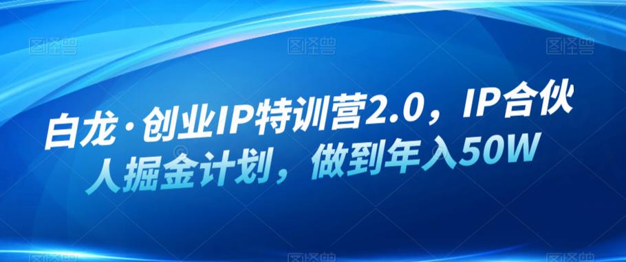 白龙·创业IP特训营2.0，IP合伙人掘金计划，做到年入50W-520资源库