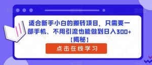 适合新手小白的搬砖项目，只需要一部手机、不用引流也能做到日入300+【揭秘】-520资源库