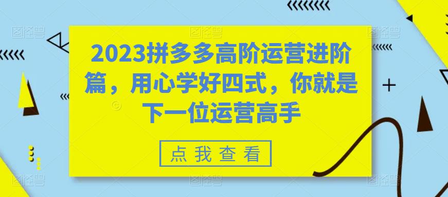 2023拼多多高阶运营进阶篇，用心学好四式，你就是下一位运营高手-520资源库