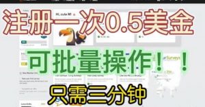 国外项目注册一次0.5美金，只需三分钟无脑操作，可批量同时放大操作，小白工作室福利【揭秘】-520资源库