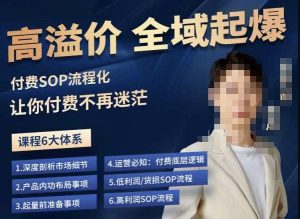 逸风-拼多多高溢价全域起爆，6大课程体系，付费玩法全套实操-520资源库