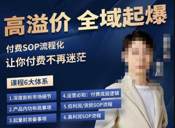 逸风-拼多多高溢价全域起爆，6大课程体系，付费玩法全套实操-520资源库