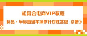 松鼠会电商VIP教程：松鼠《付费推广标品·半标直通车操作针对性答疑&诊断》-520资源库